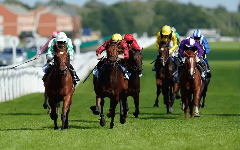 The Mill Reef Stakes Betting Tips - Newbury