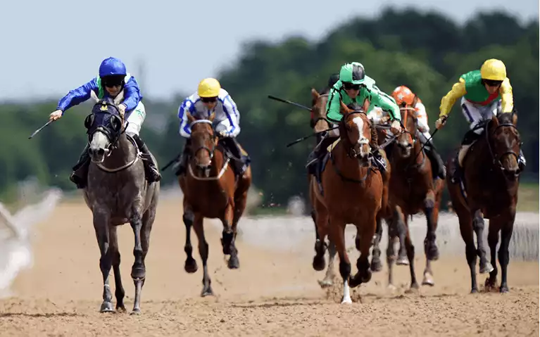 Eider Handicap Chase Betting Tips - Newcastle