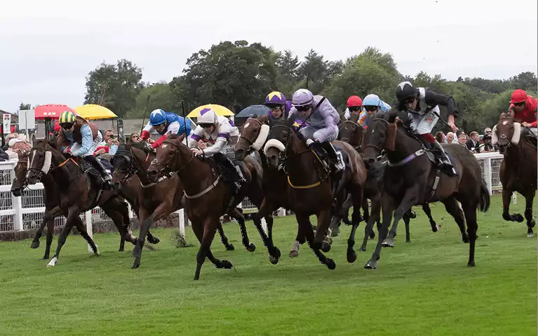 Cambridgeshire Meeting Betting Tips