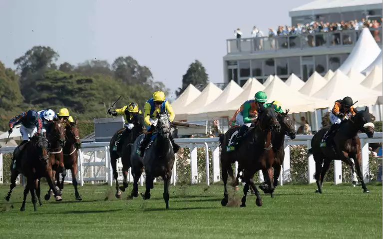 Newmarket Dubai Future Champions Festival Betting Tips - Day 1