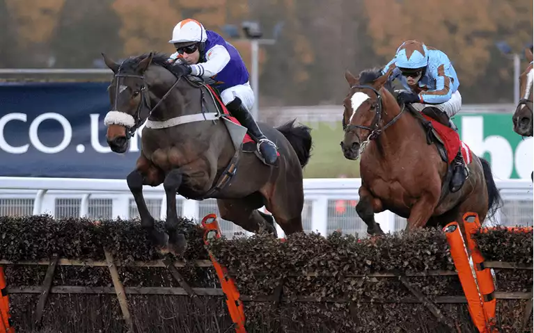 Tingle Creek Day Betting Tips - Day 2