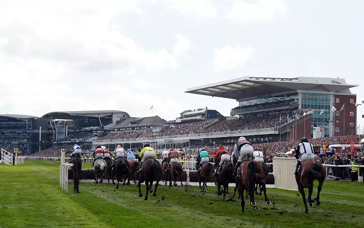 Grand Sefton Handicap Chase Betting Tips