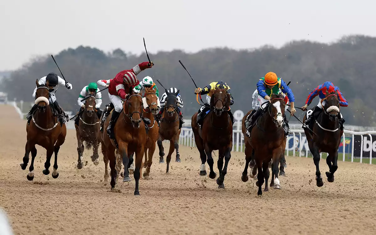 All-Weather Championships Day Betting Tips