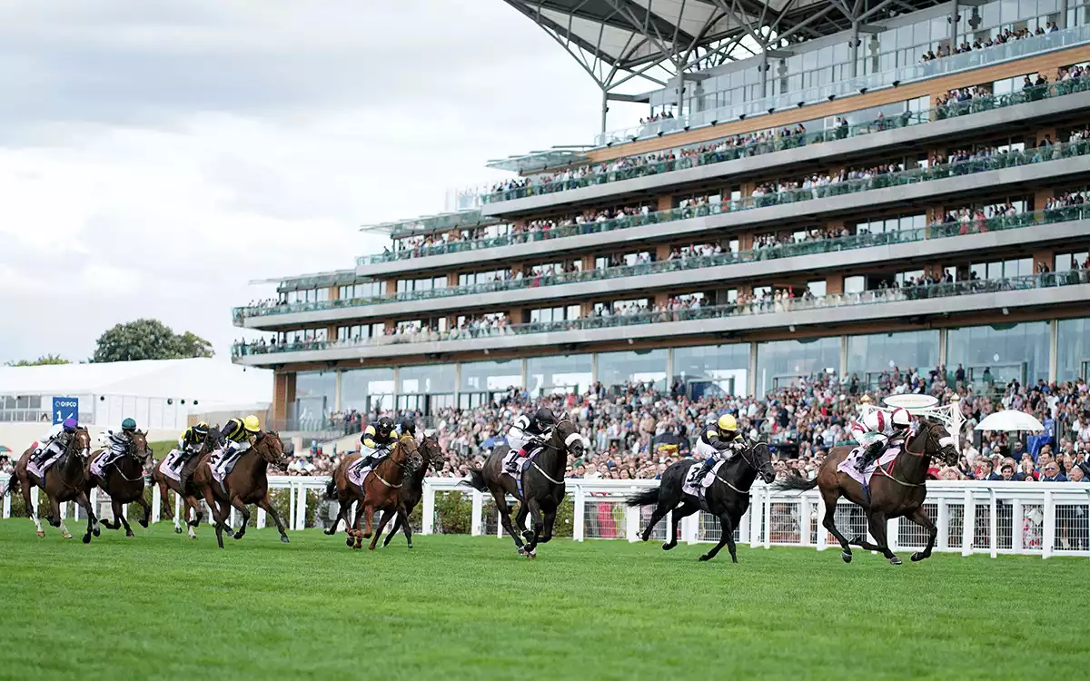 Champions Day Betting Tips -  Ascot