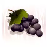 Call of the Colosseum_Grapes