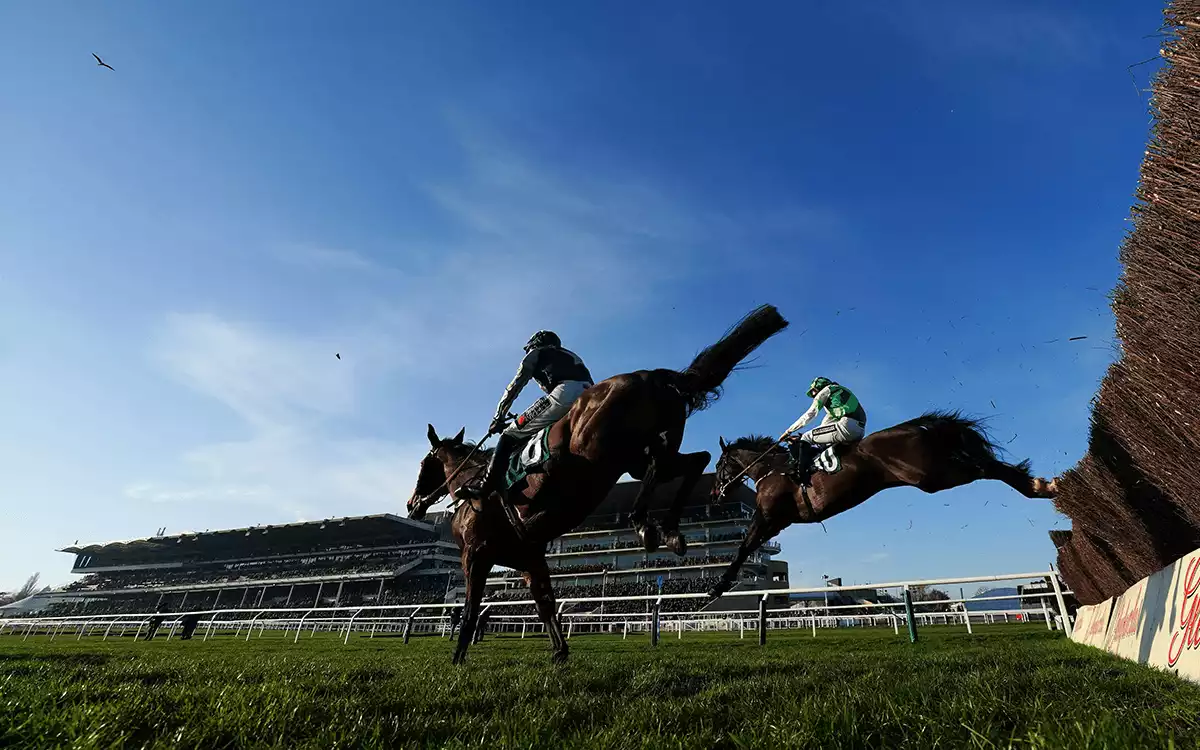 Cheltenham Trials Day Betting Tips - Saturday