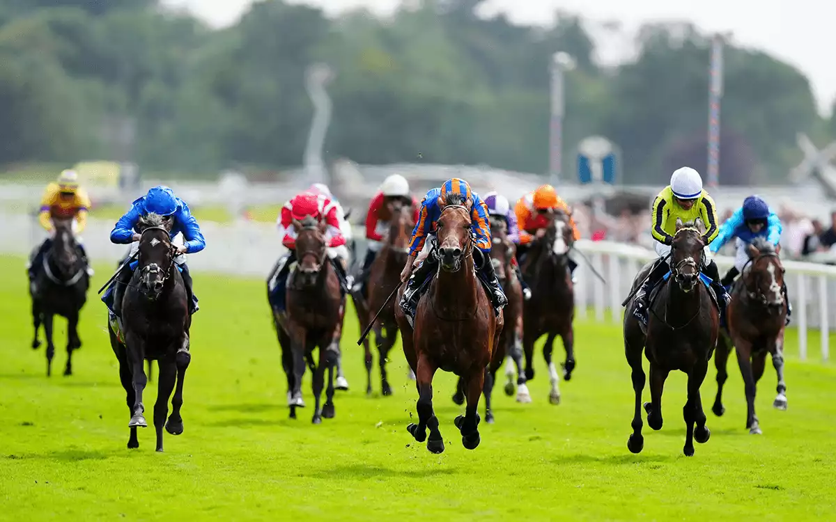 Future of Horse Racing On Irish TV Under Threat 