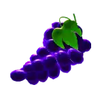 Fantastic Fruit_Grapes