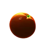 Fantastic Fruit_Orange