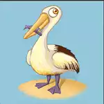 Pelican