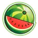 Fruit Shop_Watermelon