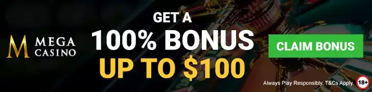 Mega Casino Offer