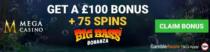 Mega Casino Offer