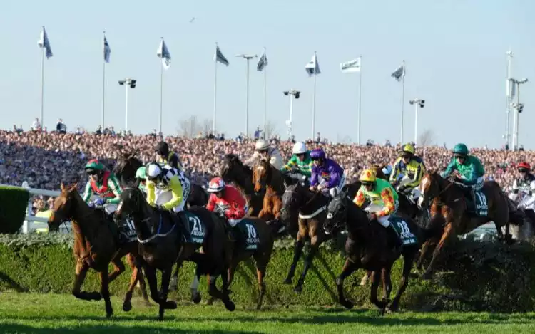 Horses running in the Grand National