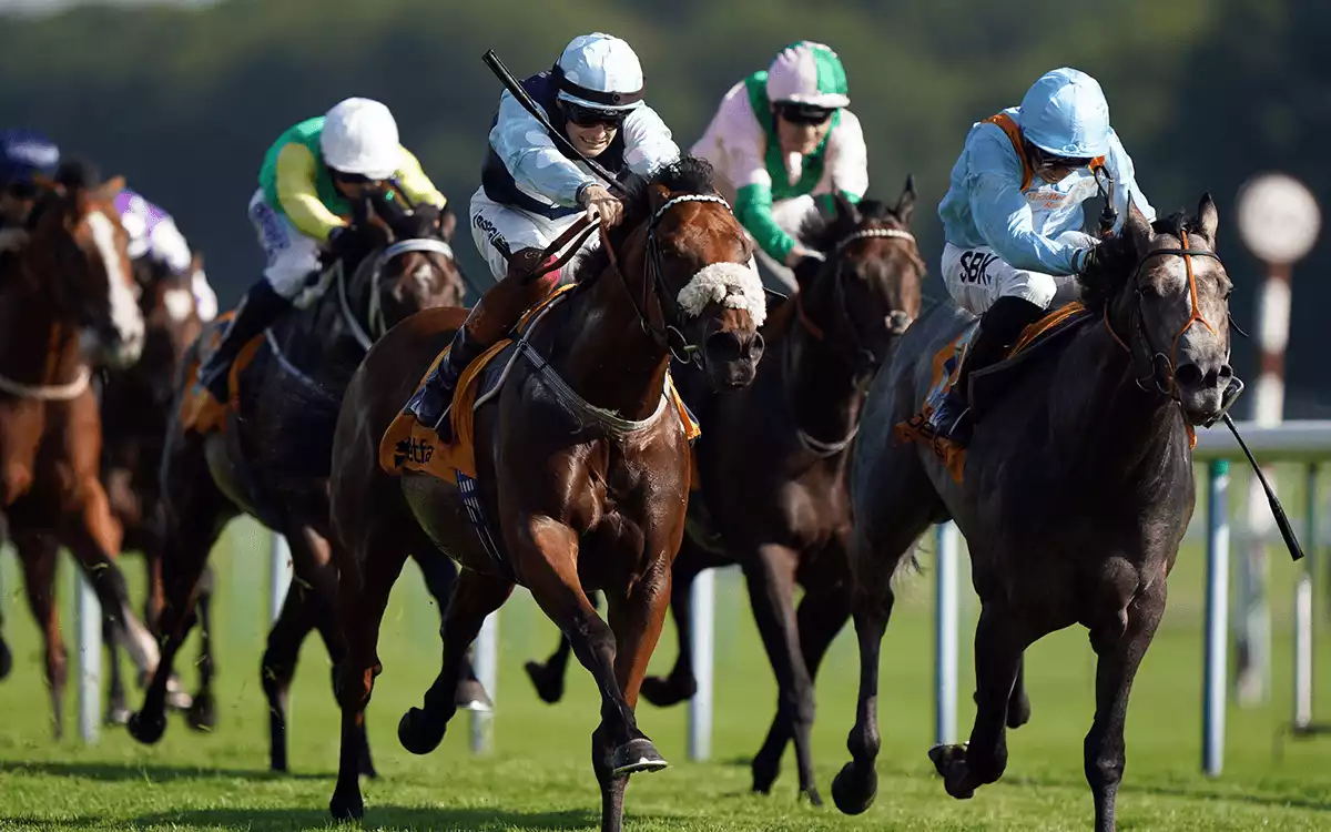 Haydock Sprint Cup Stakes Betting Tips