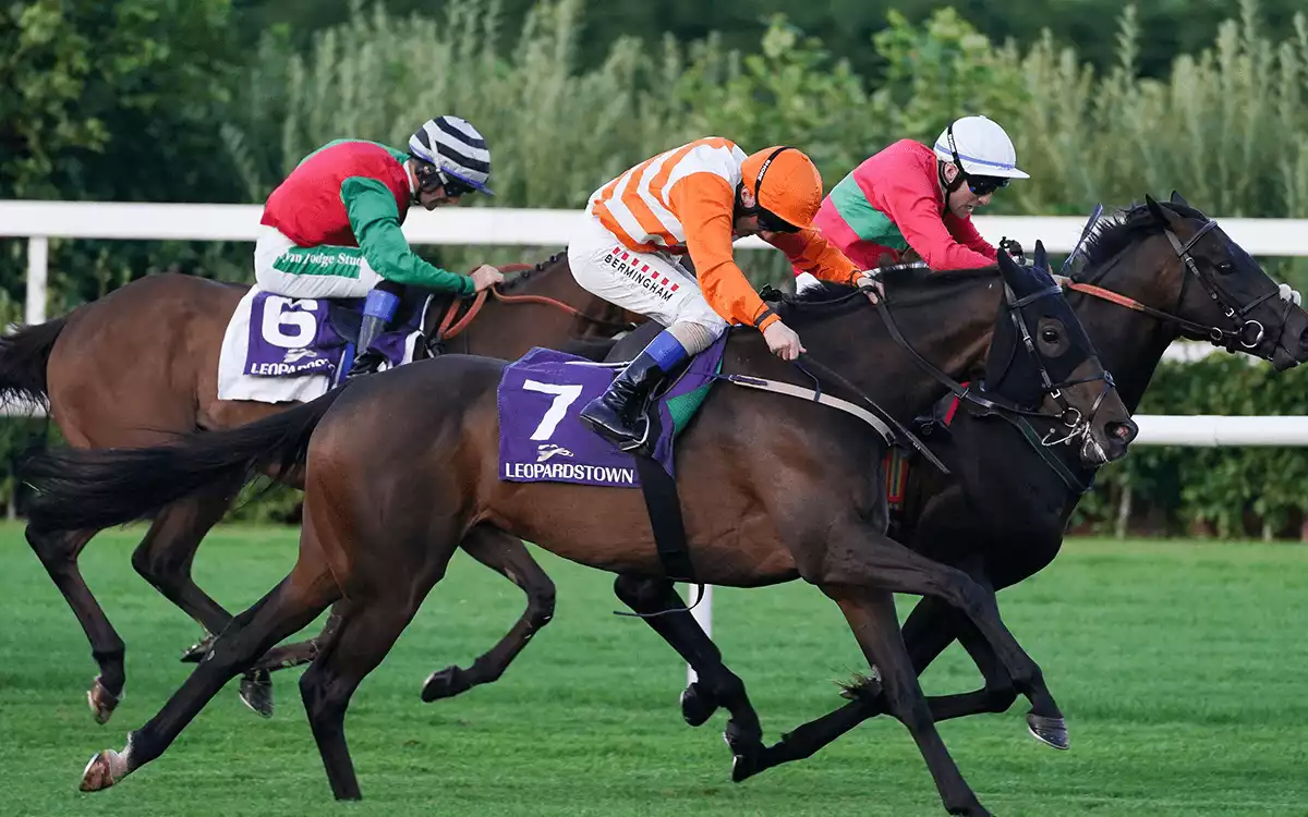 Irish Champions Festival - Betting Tips - Day 2