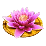 Lotus Flower