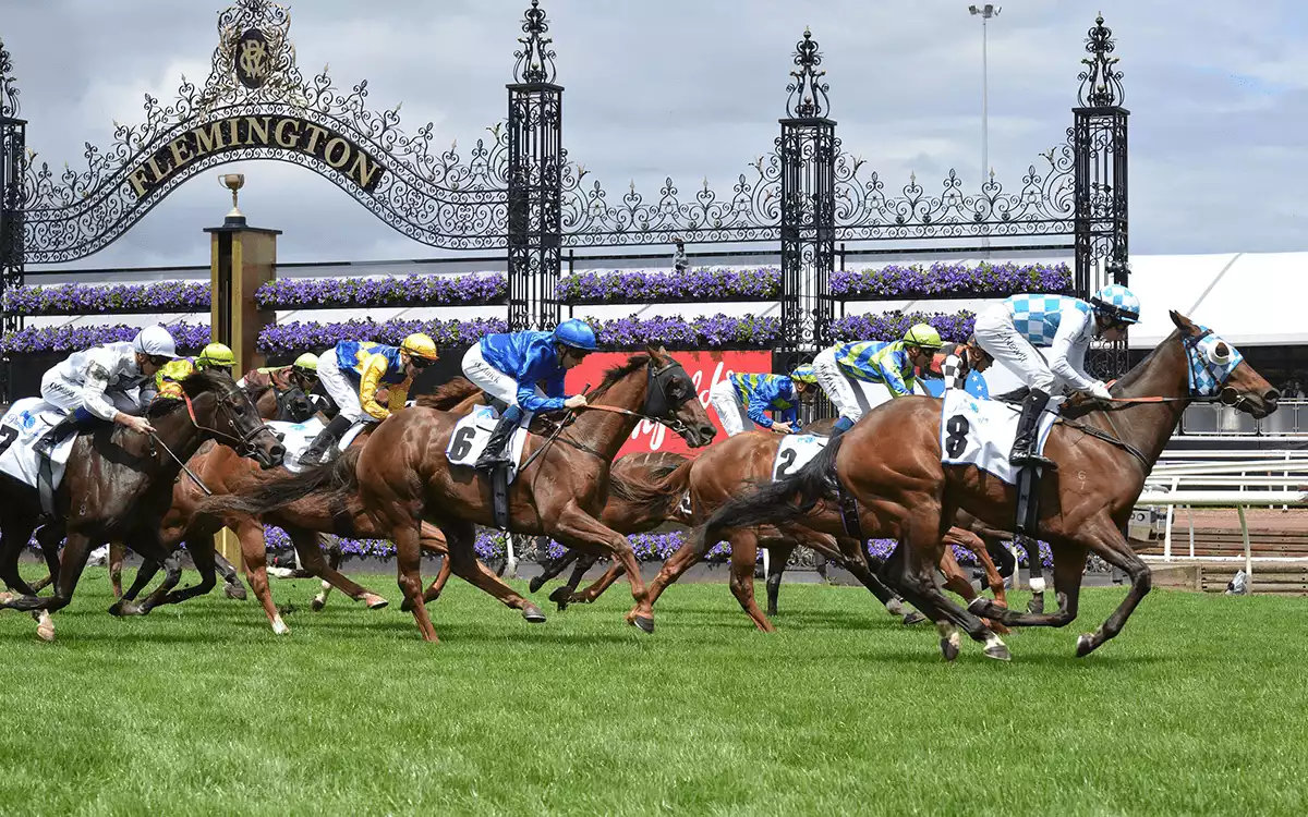 Melbourne Cup Betting Tips