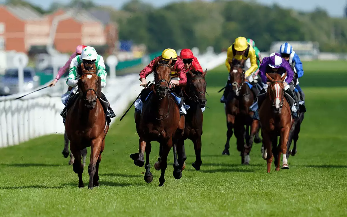 The Mill Reef Stakes Betting Tips - Newbury