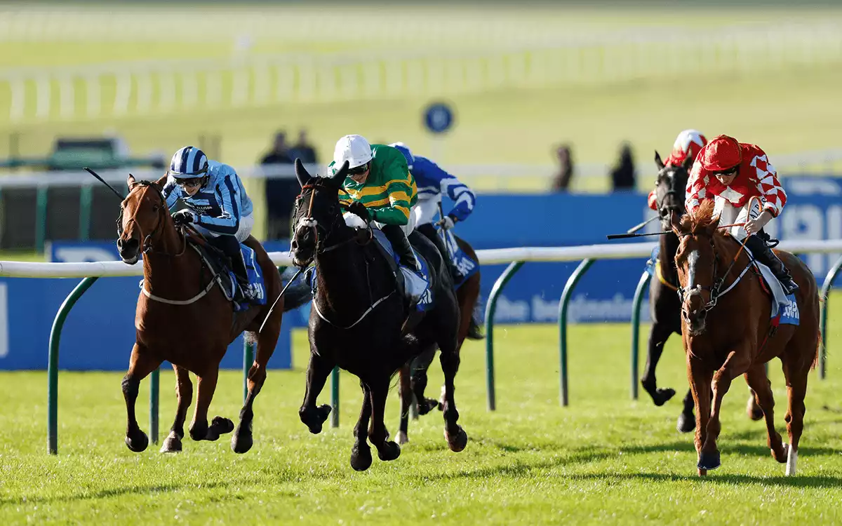 Club Godolphin Cesarewitch Handicap Betting Tips