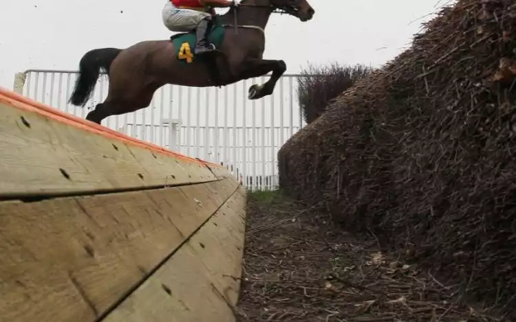 Open Ditch Jump in Horse Racing