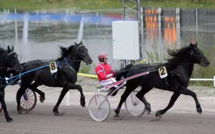 Scandinavian Coldblooded Trotters racing