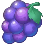 Sunny Shores_Grapes