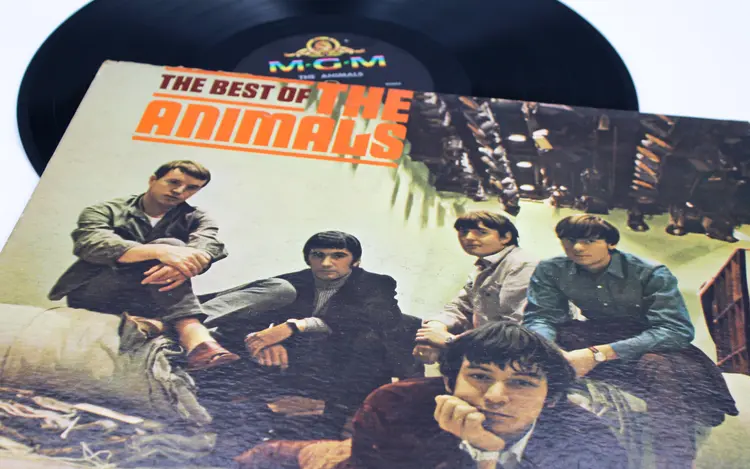 The Animals Album