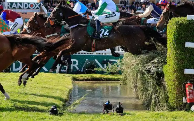 Water Jump in horse racing