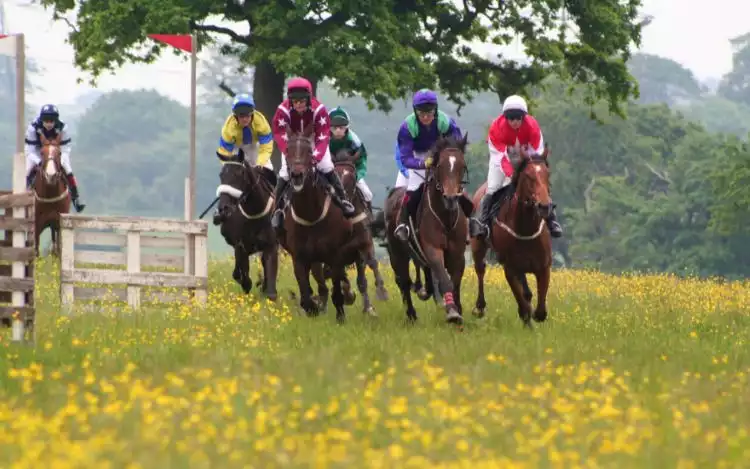 point-to-point racing in a field