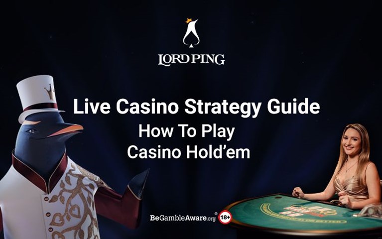 how to play casino hold 'em banner