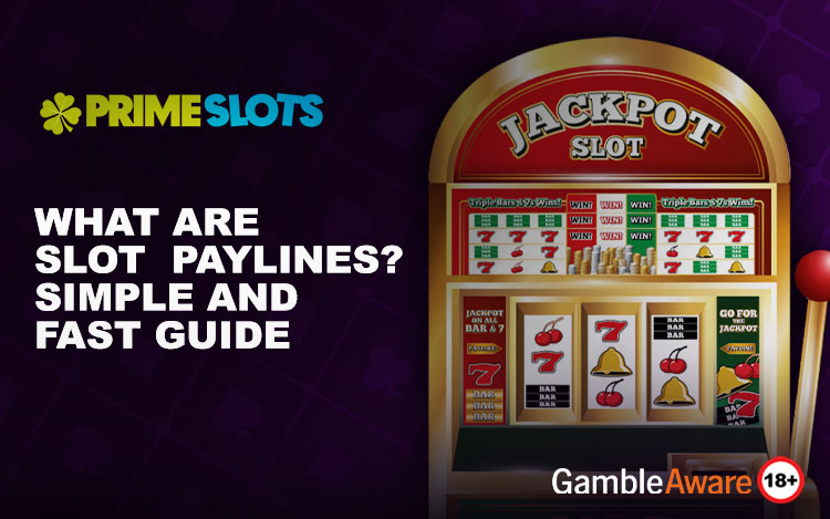 What Are Slot Paylines Blog Banner