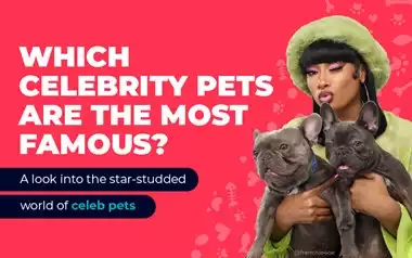 Most Famous Celebrity Pets