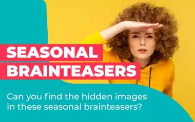 Seasonal Brainteasers