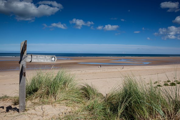 The Best Luxury Dog-Friendly Cottages In Norfolk For Your Next Holiday