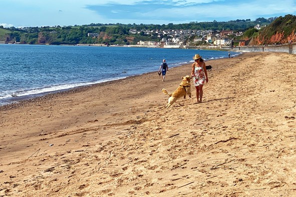 The Best Luxury Dog-Friendly Cottages In Devon