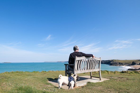 18 Luxury Dog-Friendly Hotels In Cornwall For Your Next Adventure