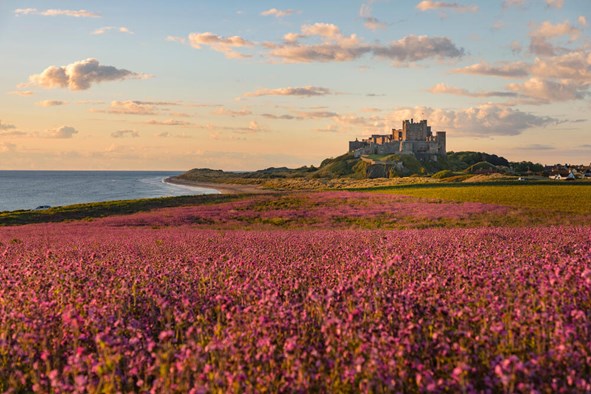 16 Of The Best Luxury Hotels in Northumberland