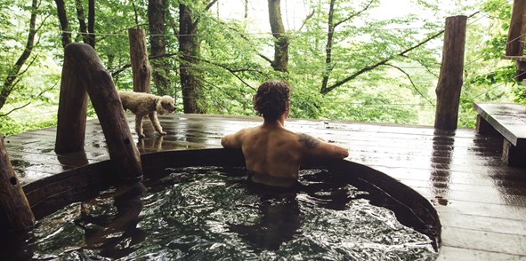 22 Pet-Friendly Luxury Lodges With Hot Tubs In The UK