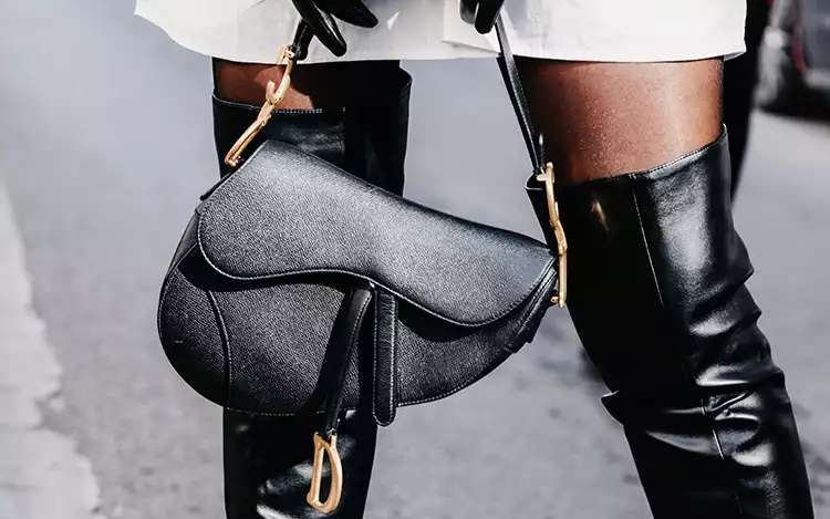 Dior Saddle