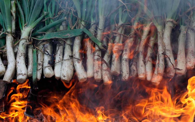 Los-calçots.jpg