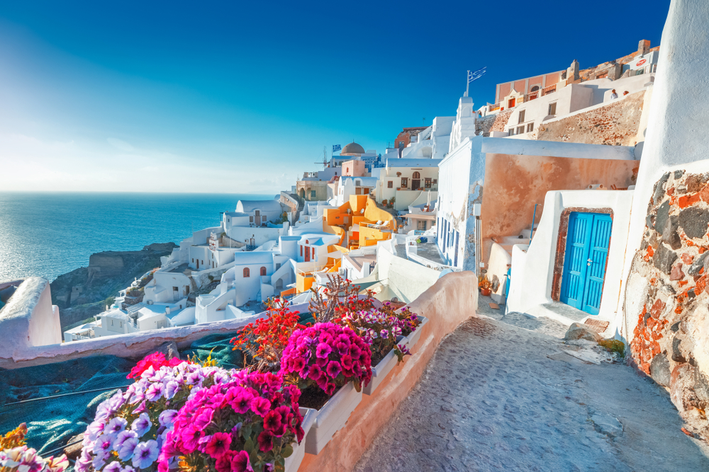 View of traditional cycladic Santorini houses on small street with bright fuschia pink flowers in foreground