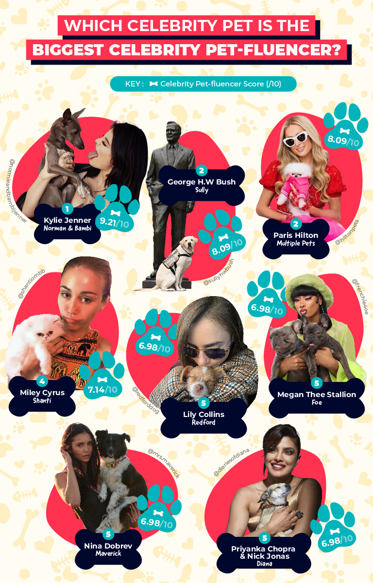 Biggest celebrity pet-fluencers