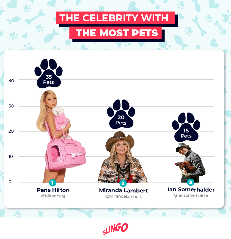 Celebrity with most pets