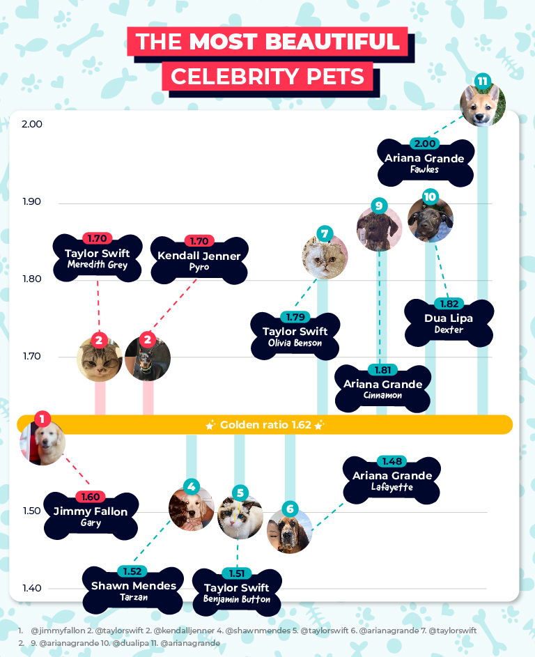 Most beautiful celebrity pets