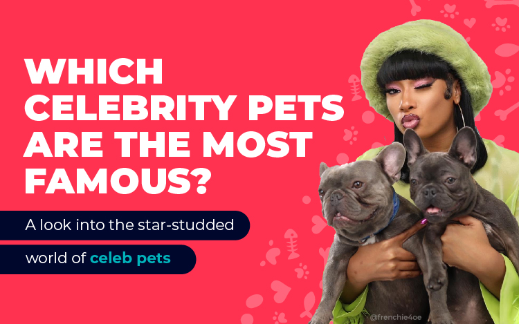 Most Famous Celebrity Pets