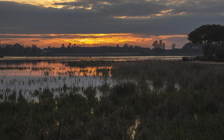 puesta sol donana huelva