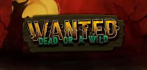 Dead or Alive Slot 💰 Best Casinos to Play Dead or Alive