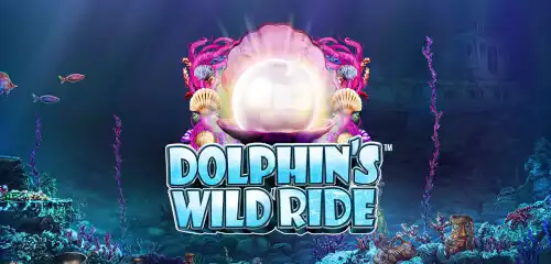 Dolphins Wild Ride