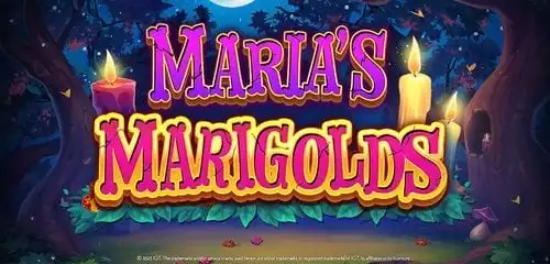 Marias Marigolds